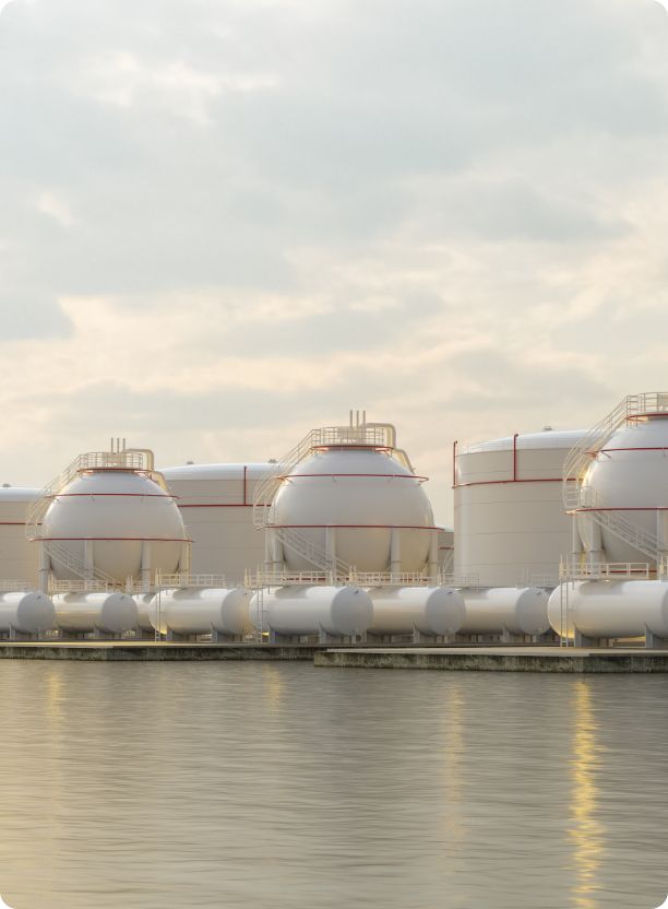 Gas terminal
