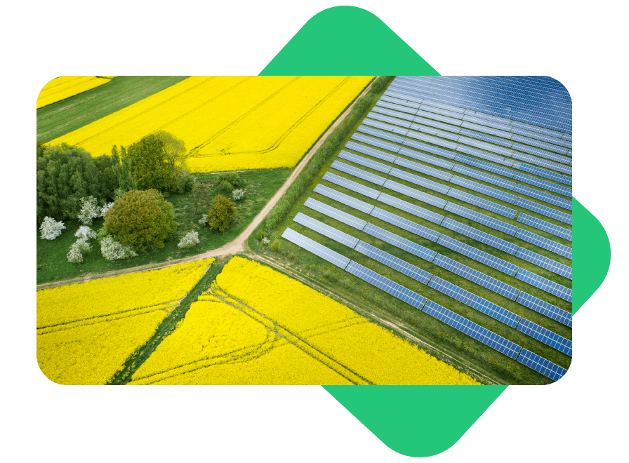 solar panels and rapeseed field, panoramic view