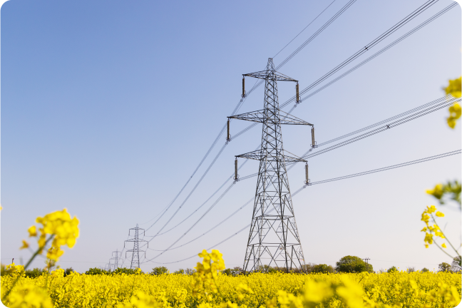 Elektroapgādes apakšstacijas dzelteniem ziediem klātā pļavā.
